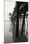 Pier Pilings 17-Lee Peterson-Mounted Photographic Print