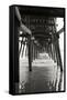 Pier Pilings 18-Lee Peterson-Framed Stretched Canvas