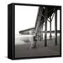 Pier Pilings 19-Lee Peterson-Framed Stretched Canvas