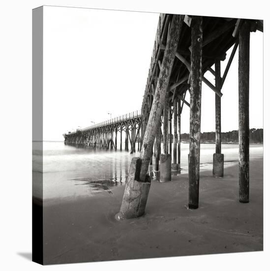 Pier Pilings 19-Lee Peterson-Stretched Canvas