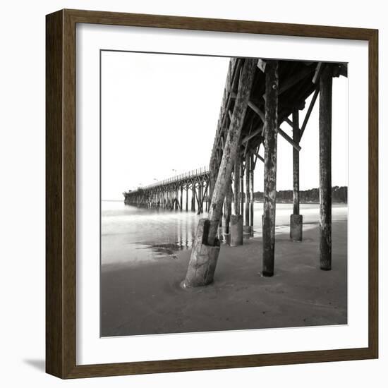 Pier Pilings 19-Lee Peterson-Framed Photographic Print