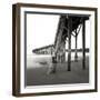 Pier Pilings 19-Lee Peterson-Framed Photographic Print
