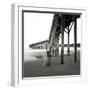 Pier Pilings 19-Lee Peterson-Framed Photographic Print