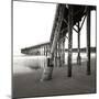 Pier Pilings 19-Lee Peterson-Mounted Photographic Print