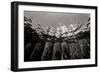 Pier Pilings 1-Lee Peterson-Framed Photographic Print