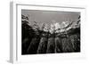 Pier Pilings 1-Lee Peterson-Framed Photographic Print