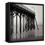 Pier Pilings 20-Lee Peterson-Framed Stretched Canvas