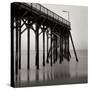 Pier Pilings 20-Lee Peterson-Stretched Canvas