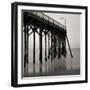 Pier Pilings 20-Lee Peterson-Framed Photographic Print