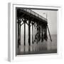 Pier Pilings 20-Lee Peterson-Framed Photographic Print