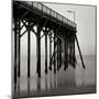 Pier Pilings 20-Lee Peterson-Mounted Photographic Print