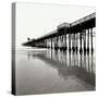 Pier Pilings 21-Lee Peterson-Stretched Canvas