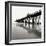 Pier Pilings 21-Lee Peterson-Framed Photographic Print