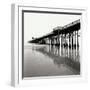 Pier Pilings 21-Lee Peterson-Framed Photographic Print