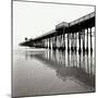 Pier Pilings 21-Lee Peterson-Mounted Photographic Print