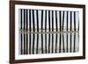 Pier Pilings 23-Lee Peterson-Framed Photographic Print