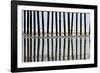 Pier Pilings 23-Lee Peterson-Framed Photographic Print