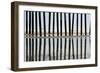 Pier Pilings 23-Lee Peterson-Framed Photographic Print