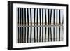 Pier Pilings 23-Lee Peterson-Framed Photographic Print