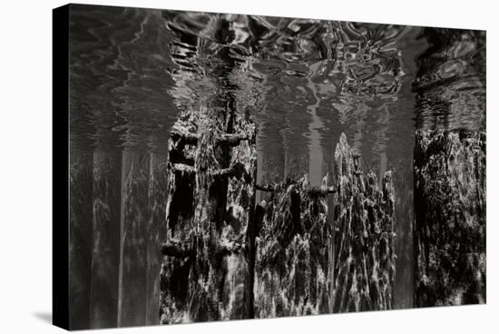 Pier Pilings 2-Lee Peterson-Stretched Canvas