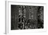 Pier Pilings 2-Lee Peterson-Framed Photographic Print