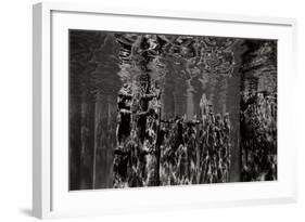 Pier Pilings 2-Lee Peterson-Framed Photographic Print