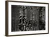 Pier Pilings 2-Lee Peterson-Framed Photographic Print