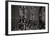 Pier Pilings 2-Lee Peterson-Framed Photographic Print