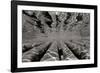 Pier Pilings 3-Lee Peterson-Framed Photographic Print