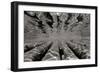 Pier Pilings 3-Lee Peterson-Framed Photographic Print