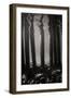 Pier Pilings 5-Lee Peterson-Framed Photographic Print