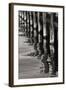 Pier Pilings 8-Lee Peterson-Framed Photographic Print