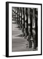 Pier Pilings 8-Lee Peterson-Framed Photographic Print