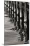 Pier Pilings 8-Lee Peterson-Mounted Photographic Print