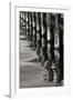 Pier Pilings 8-Lee Peterson-Framed Photographic Print