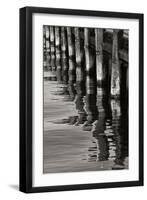 Pier Pilings 8-Lee Peterson-Framed Photographic Print