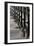 Pier Pilings 8-Lee Peterson-Framed Photographic Print