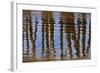 Pier Reflections II-Lee Peterson-Framed Photo