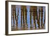 Pier Reflections II-Lee Peterson-Framed Photo