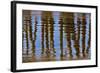 Pier Reflections II-Lee Peterson-Framed Photo