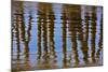 Pier Reflections II-Lee Peterson-Mounted Photo