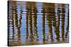 Pier Reflections II-Lee Peterson-Stretched Canvas