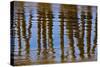 Pier Reflections II-Lee Peterson-Stretched Canvas