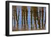 Pier Reflections II-Lee Peterson-Framed Photo