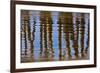 Pier Reflections II-Lee Peterson-Framed Photo