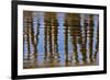 Pier Reflections II-Lee Peterson-Framed Photo