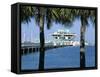 Pier, St. Petersburg, Gulf Coast, Florida, USA-J Lightfoot-Framed Stretched Canvas