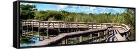 Pier Trail - Everglades National Park - Unesco World Heritage Site - Florida - USA-Philippe Hugonnard-Framed Stretched Canvas