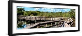 Pier Trail - Everglades National Park - Unesco World Heritage Site - Florida - USA-Philippe Hugonnard-Framed Photographic Print