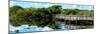 Pier Trail - Everglades National Park - Unesco World Heritage Site - Florida - USA-Philippe Hugonnard-Mounted Photographic Print